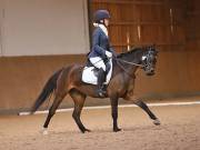 Image 162 in OPTIMUM EVENT MANAGEMENT. DRESSAGE AT MARTLEY HALL STUD. 25 NOV. 2018