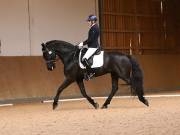 Image 163 in OPTIMUM EVENT MANAGEMENT. DRESSAGE AT MARTLEY HALL STUD. 25 NOV. 2018