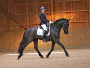 Image 164 in OPTIMUM EVENT MANAGEMENT. DRESSAGE AT MARTLEY HALL STUD. 25 NOV. 2018