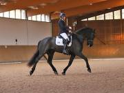 Image 165 in OPTIMUM EVENT MANAGEMENT. DRESSAGE AT MARTLEY HALL STUD. 25 NOV. 2018