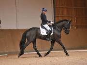 Image 166 in OPTIMUM EVENT MANAGEMENT. DRESSAGE AT MARTLEY HALL STUD. 25 NOV. 2018