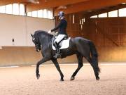 Image 170 in OPTIMUM EVENT MANAGEMENT. DRESSAGE AT MARTLEY HALL STUD. 25 NOV. 2018