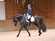 Image 171 in OPTIMUM EVENT MANAGEMENT. DRESSAGE AT MARTLEY HALL STUD. 25 NOV. 2018