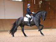 Image 172 in OPTIMUM EVENT MANAGEMENT. DRESSAGE AT MARTLEY HALL STUD. 25 NOV. 2018