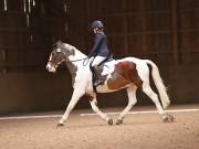 Image 179 in OPTIMUM EVENT MANAGEMENT. DRESSAGE AT MARTLEY HALL STUD. 25 NOV. 2018