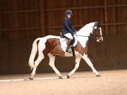 Image 181 in OPTIMUM EVENT MANAGEMENT. DRESSAGE AT MARTLEY HALL STUD. 25 NOV. 2018