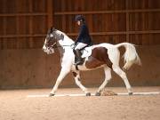 Image 182 in OPTIMUM EVENT MANAGEMENT. DRESSAGE AT MARTLEY HALL STUD. 25 NOV. 2018