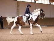 Image 183 in OPTIMUM EVENT MANAGEMENT. DRESSAGE AT MARTLEY HALL STUD. 25 NOV. 2018