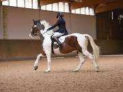 Image 185 in OPTIMUM EVENT MANAGEMENT. DRESSAGE AT MARTLEY HALL STUD. 25 NOV. 2018