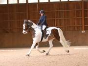 Image 186 in OPTIMUM EVENT MANAGEMENT. DRESSAGE AT MARTLEY HALL STUD. 25 NOV. 2018