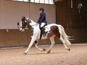 Image 187 in OPTIMUM EVENT MANAGEMENT. DRESSAGE AT MARTLEY HALL STUD. 25 NOV. 2018