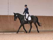 Image 190 in OPTIMUM EVENT MANAGEMENT. DRESSAGE AT MARTLEY HALL STUD. 25 NOV. 2018