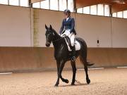 Image 194 in OPTIMUM EVENT MANAGEMENT. DRESSAGE AT MARTLEY HALL STUD. 25 NOV. 2018