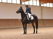 Image 195 in OPTIMUM EVENT MANAGEMENT. DRESSAGE AT MARTLEY HALL STUD. 25 NOV. 2018