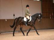 Image 199 in OPTIMUM EVENT MANAGEMENT. DRESSAGE AT MARTLEY HALL STUD. 25 NOV. 2018