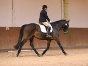 Image 202 in OPTIMUM EVENT MANAGEMENT. DRESSAGE AT MARTLEY HALL STUD. 25 NOV. 2018