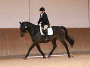 Image 203 in OPTIMUM EVENT MANAGEMENT. DRESSAGE AT MARTLEY HALL STUD. 25 NOV. 2018