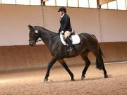 Image 204 in OPTIMUM EVENT MANAGEMENT. DRESSAGE AT MARTLEY HALL STUD. 25 NOV. 2018