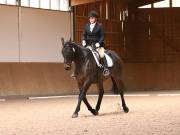 Image 207 in OPTIMUM EVENT MANAGEMENT. DRESSAGE AT MARTLEY HALL STUD. 25 NOV. 2018