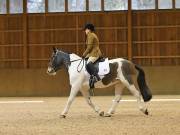 Image 21 in OPTIMUM EVENT MANAGEMENT. DRESSAGE AT MARTLEY HALL STUD. 25 NOV. 2018