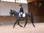 Image 210 in OPTIMUM EVENT MANAGEMENT. DRESSAGE AT MARTLEY HALL STUD. 25 NOV. 2018