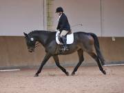 Image 211 in OPTIMUM EVENT MANAGEMENT. DRESSAGE AT MARTLEY HALL STUD. 25 NOV. 2018