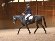 Image 212 in OPTIMUM EVENT MANAGEMENT. DRESSAGE AT MARTLEY HALL STUD. 25 NOV. 2018