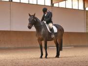 Image 214 in OPTIMUM EVENT MANAGEMENT. DRESSAGE AT MARTLEY HALL STUD. 25 NOV. 2018