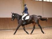 Image 215 in OPTIMUM EVENT MANAGEMENT. DRESSAGE AT MARTLEY HALL STUD. 25 NOV. 2018