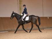 Image 217 in OPTIMUM EVENT MANAGEMENT. DRESSAGE AT MARTLEY HALL STUD. 25 NOV. 2018