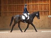 Image 218 in OPTIMUM EVENT MANAGEMENT. DRESSAGE AT MARTLEY HALL STUD. 25 NOV. 2018