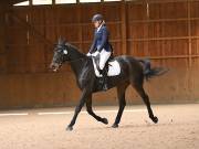 Image 219 in OPTIMUM EVENT MANAGEMENT. DRESSAGE AT MARTLEY HALL STUD. 25 NOV. 2018