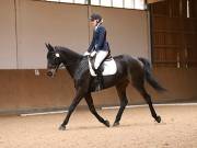 Image 220 in OPTIMUM EVENT MANAGEMENT. DRESSAGE AT MARTLEY HALL STUD. 25 NOV. 2018