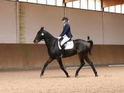 Image 224 in OPTIMUM EVENT MANAGEMENT. DRESSAGE AT MARTLEY HALL STUD. 25 NOV. 2018