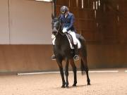 Image 226 in OPTIMUM EVENT MANAGEMENT. DRESSAGE AT MARTLEY HALL STUD. 25 NOV. 2018