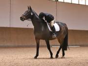 Image 227 in OPTIMUM EVENT MANAGEMENT. DRESSAGE AT MARTLEY HALL STUD. 25 NOV. 2018