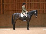 Image 228 in OPTIMUM EVENT MANAGEMENT. DRESSAGE AT MARTLEY HALL STUD. 25 NOV. 2018