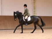 Image 229 in OPTIMUM EVENT MANAGEMENT. DRESSAGE AT MARTLEY HALL STUD. 25 NOV. 2018