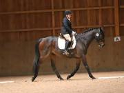 Image 231 in OPTIMUM EVENT MANAGEMENT. DRESSAGE AT MARTLEY HALL STUD. 25 NOV. 2018