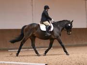 Image 232 in OPTIMUM EVENT MANAGEMENT. DRESSAGE AT MARTLEY HALL STUD. 25 NOV. 2018