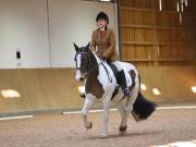 Image 235 in OPTIMUM EVENT MANAGEMENT. DRESSAGE AT MARTLEY HALL STUD. 25 NOV. 2018