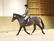 Image 29 in OPTIMUM EVENT MANAGEMENT. DRESSAGE AT MARTLEY HALL STUD. 25 NOV. 2018