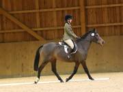 Image 30 in OPTIMUM EVENT MANAGEMENT. DRESSAGE AT MARTLEY HALL STUD. 25 NOV. 2018