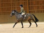 Image 33 in OPTIMUM EVENT MANAGEMENT. DRESSAGE AT MARTLEY HALL STUD. 25 NOV. 2018