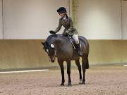 Image 34 in OPTIMUM EVENT MANAGEMENT. DRESSAGE AT MARTLEY HALL STUD. 25 NOV. 2018