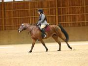 Image 38 in OPTIMUM EVENT MANAGEMENT. DRESSAGE AT MARTLEY HALL STUD. 25 NOV. 2018