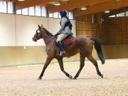 Image 39 in OPTIMUM EVENT MANAGEMENT. DRESSAGE AT MARTLEY HALL STUD. 25 NOV. 2018