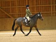 Image 4 in OPTIMUM EVENT MANAGEMENT. DRESSAGE AT MARTLEY HALL STUD. 25 NOV. 2018