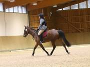 Image 42 in OPTIMUM EVENT MANAGEMENT. DRESSAGE AT MARTLEY HALL STUD. 25 NOV. 2018