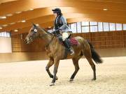 Image 45 in OPTIMUM EVENT MANAGEMENT. DRESSAGE AT MARTLEY HALL STUD. 25 NOV. 2018